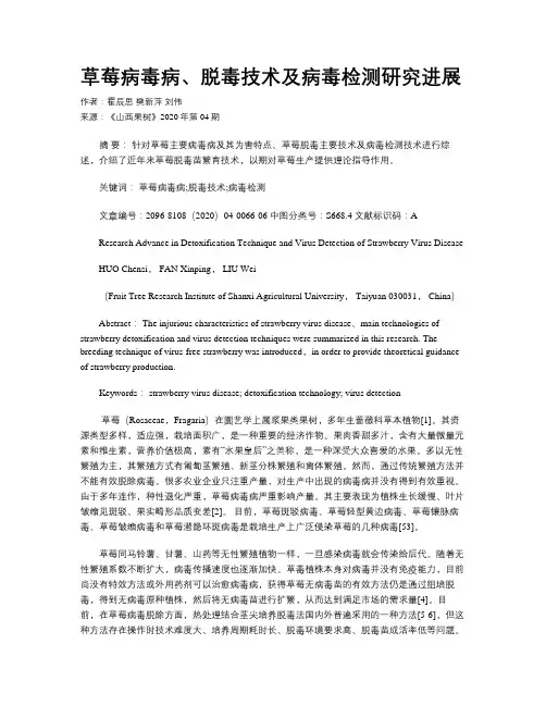 草莓病毒病、脱毒技术及病毒检测研究进展