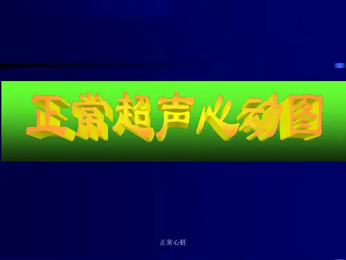 第九章 正常超声心动图课件