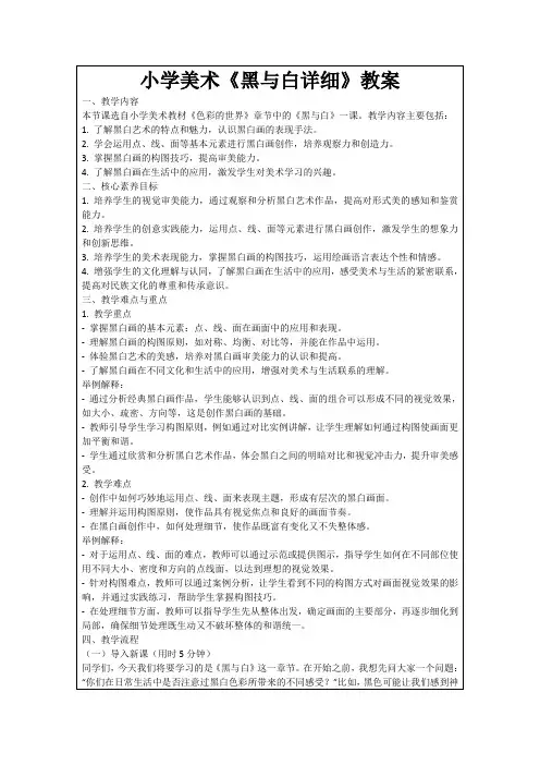 小学美术《黑与白详细》教案