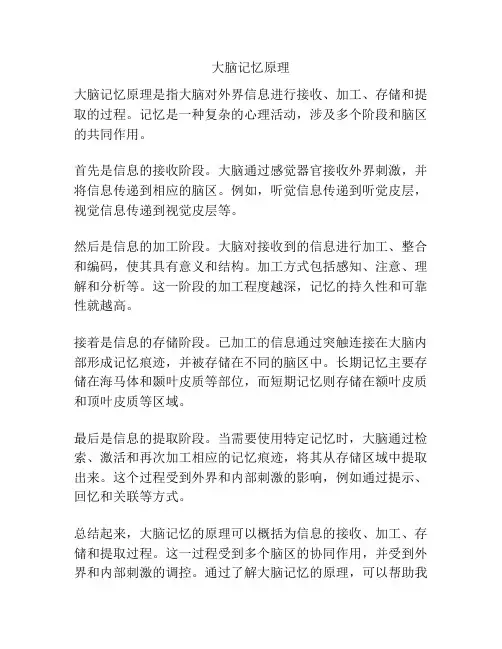 大脑记忆原理