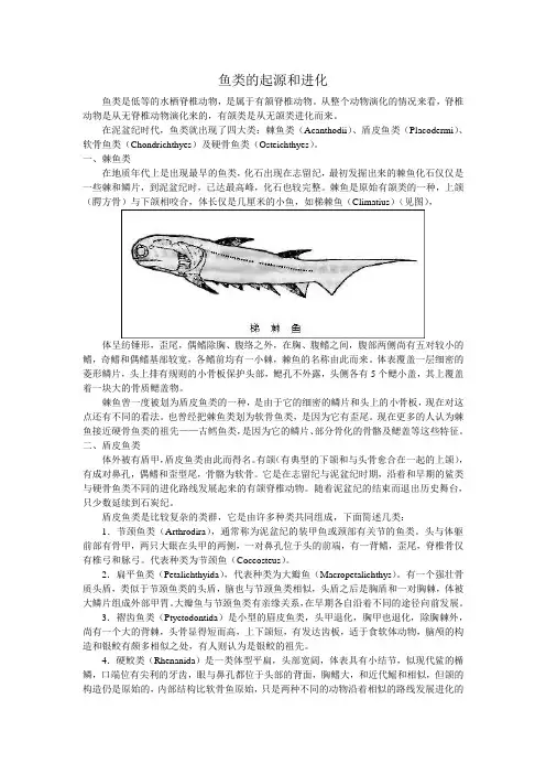 鱼类的起源和进化