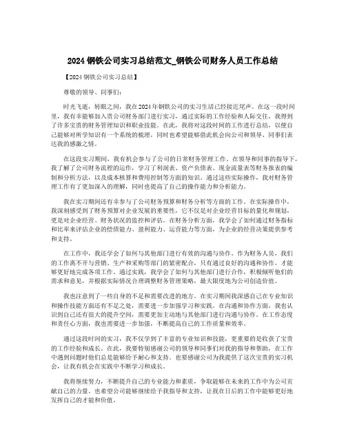 2024钢铁公司实习总结范文_钢铁公司财务人员工作总结