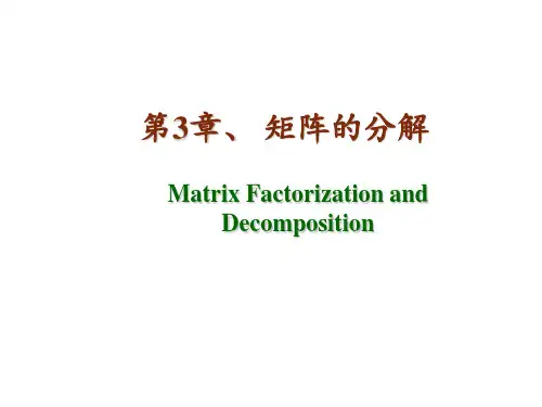 矩阵论矩阵的分解 ppt课件