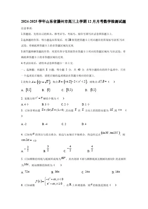 2024-2025学年山东省滕州市高三上学期12月月考数学检测试题