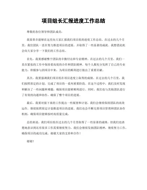 项目组长汇报进度工作总结
