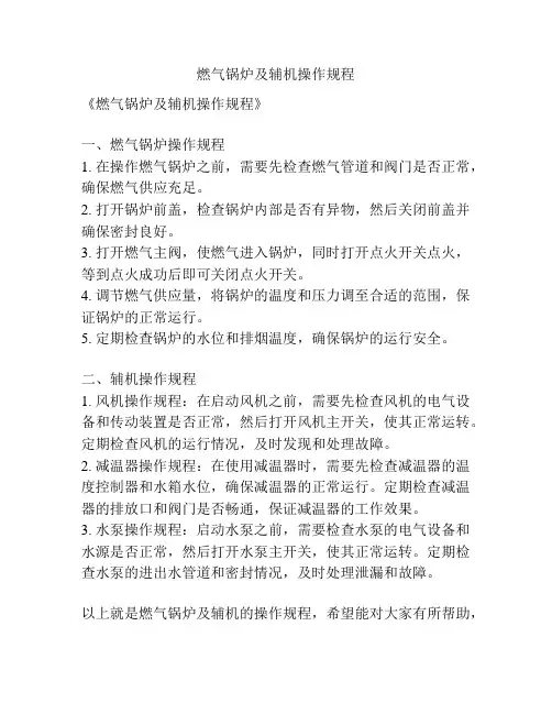 燃气锅炉及辅机操作规程