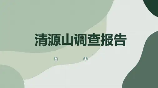 清源山调查报告