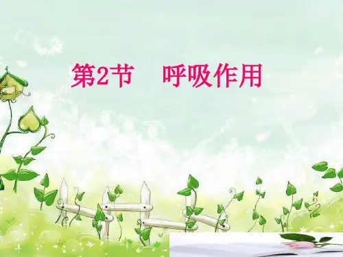 第2节呼吸作用课件北师大版七年级生物上册