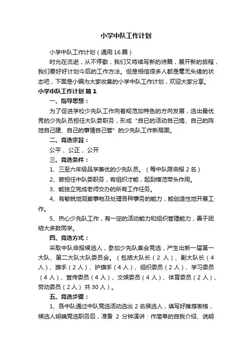 小学中队工作计划