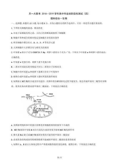 2019届河南省天一大联考高三阶段性测试(四)河南版 理科综合 word版