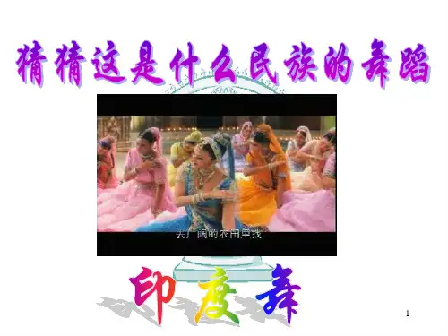 观舞记ppt课件