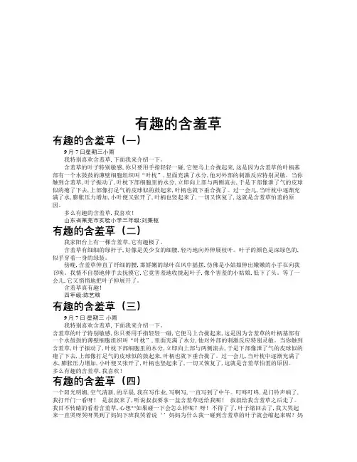 有趣的含羞草作文共九篇