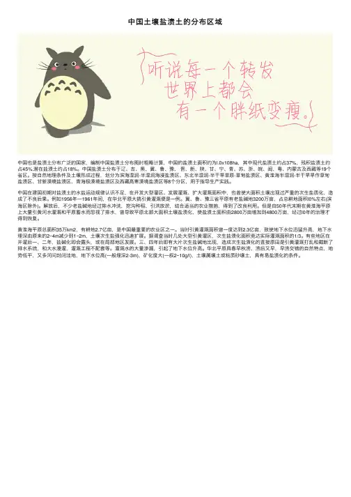 中国土壤盐渍土的分布区域