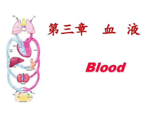 医学生理学-血液PPT课件