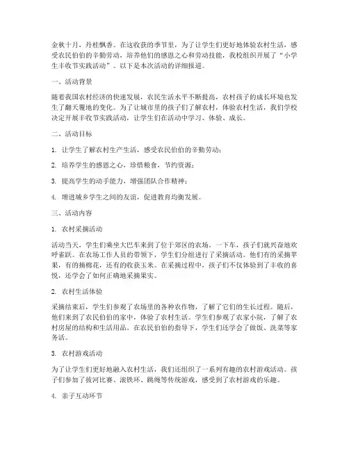小学生丰收节实践活动