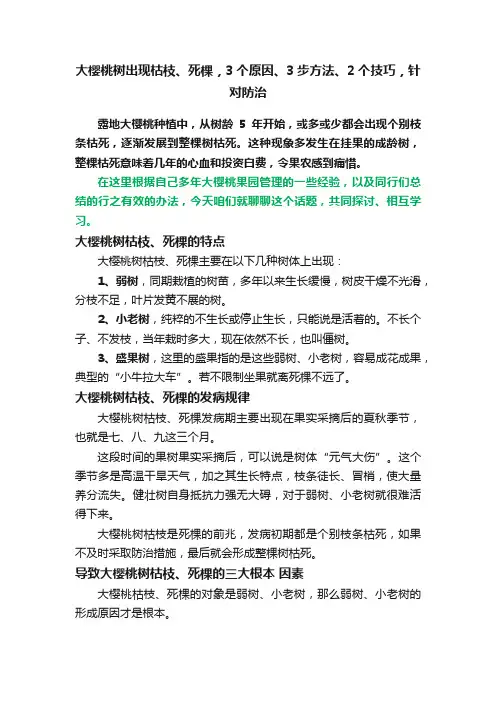 大樱桃树出现枯枝、死棵，3个原因、3步方法、2个技巧，针对防治