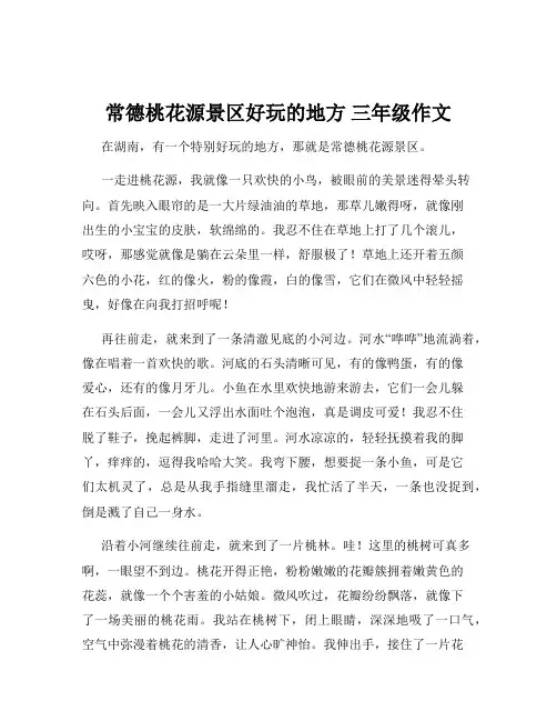 常德桃花源景区好玩的地方 三年级作文