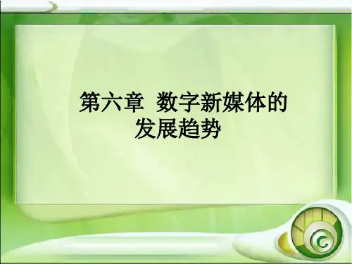 数字媒体艺术概论  第6章