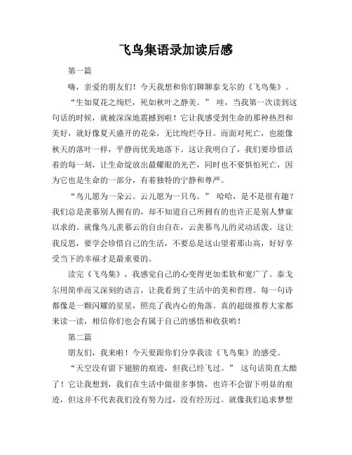 飞鸟集语录加读后感
