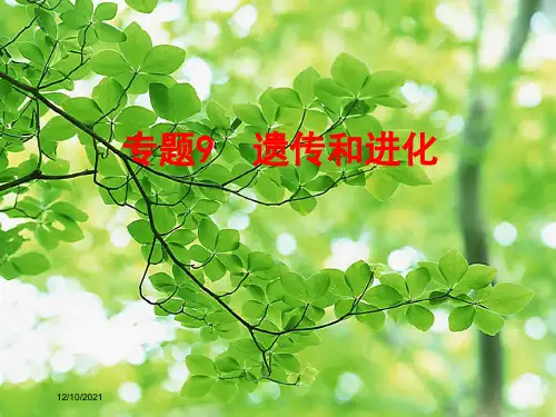 中考科学复习 第一部分 生命科学 专题9 遗传和进化自然科学课件