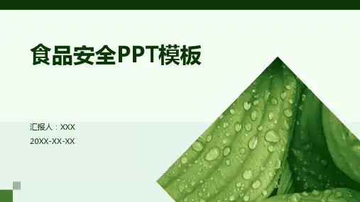 食品安全ppt模板