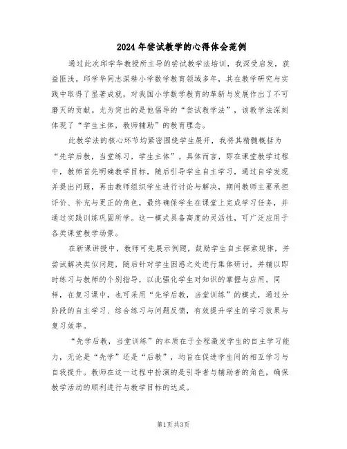 2024年尝试教学的心得体会范例（二篇）