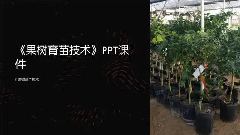 《果树育苗技术》课件