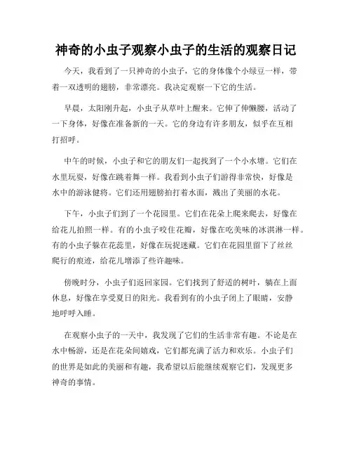 小学三年级作文神奇的小虫子观察小虫子的生活的观察日记