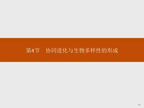 2019-2020学年 人教版 必修1协同进化与生物多样性的形成  课件  (17张)