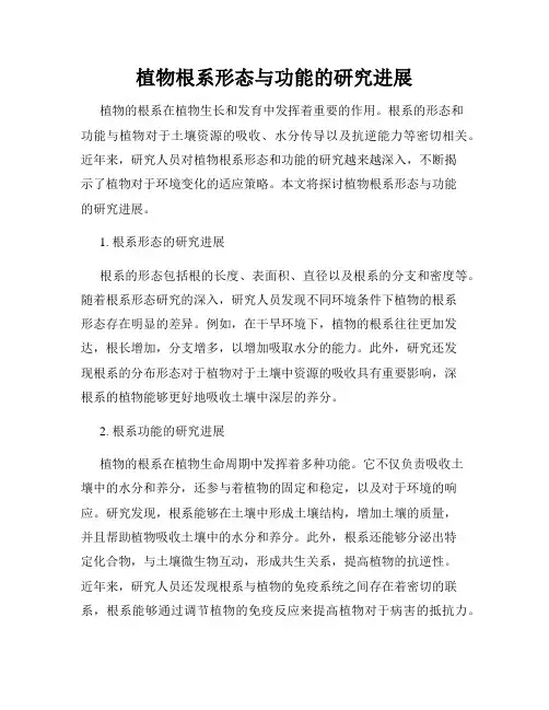 植物根系形态与功能的研究进展
