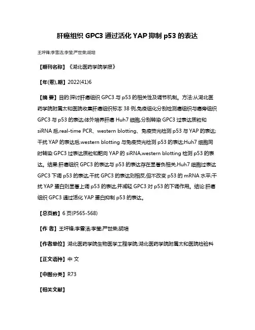 肝癌组织GPC3通过活化YAP抑制p53的表达