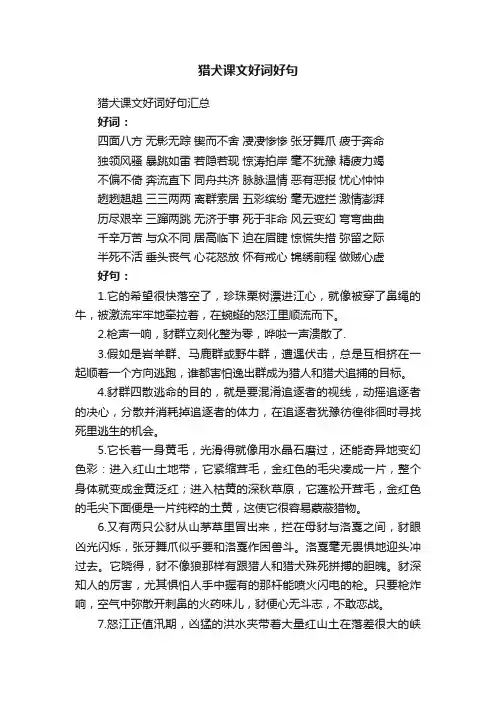 猎犬课文好词好句汇总