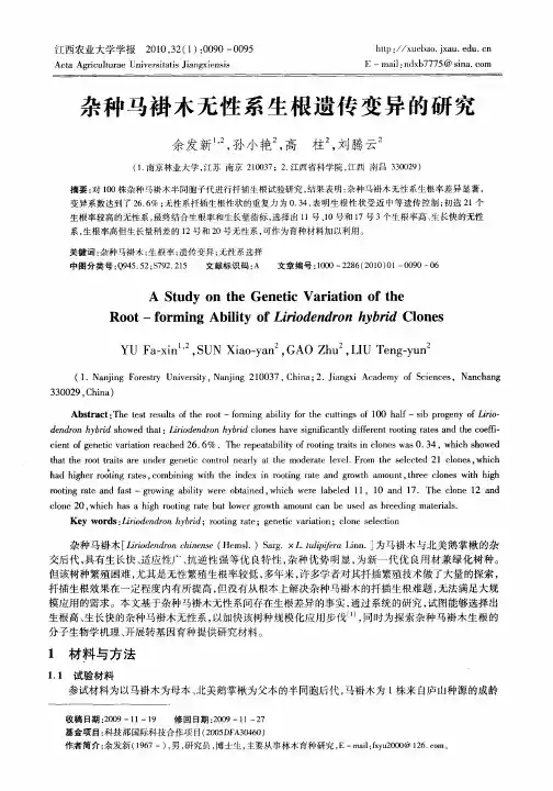 杂种马褂木无性系生根遗传变异的研究