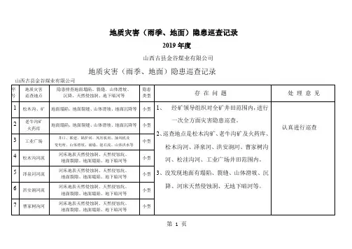 2019年地质灾害隐患巡查地面记录-12页word资料