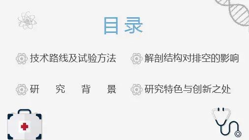 简约风医学类专业毕业答辩PPT模版课件