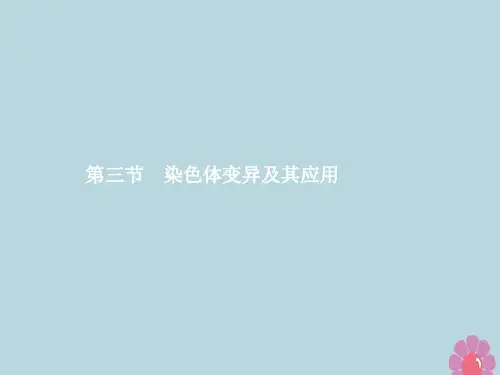 2019年高中生物第三章遗传和染色体3.3染色体变异及其应用课件苏教版必修