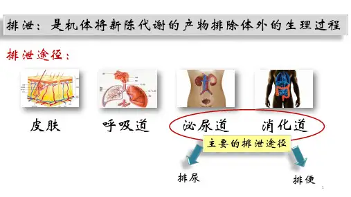 排便护理ppt课件