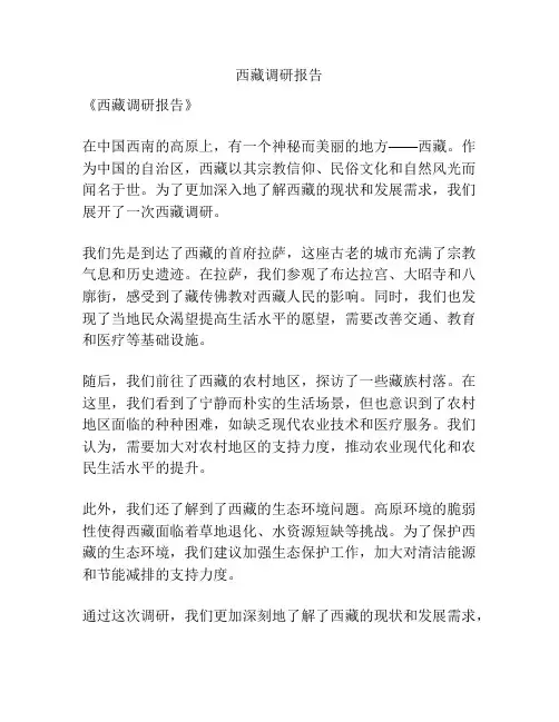 西藏调研报告
