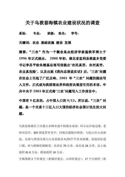 关于乌敦套海镇农业建设状况的调查