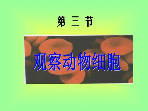 七年级生物观察植物细胞4