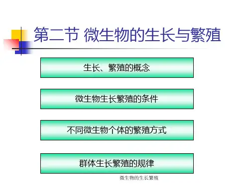 微生物的生长繁殖 ppt课件