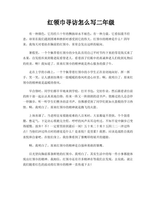 红领巾寻访怎么写二年级