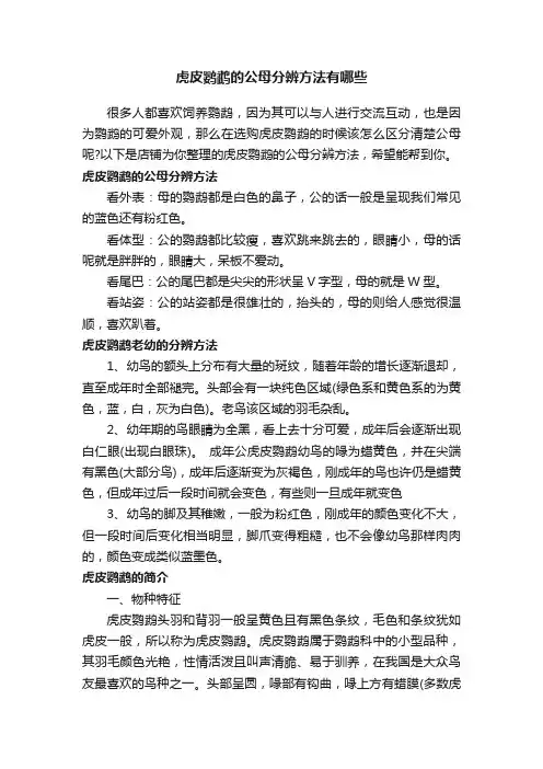 虎皮鹦鹉的公母分辨方法有哪些