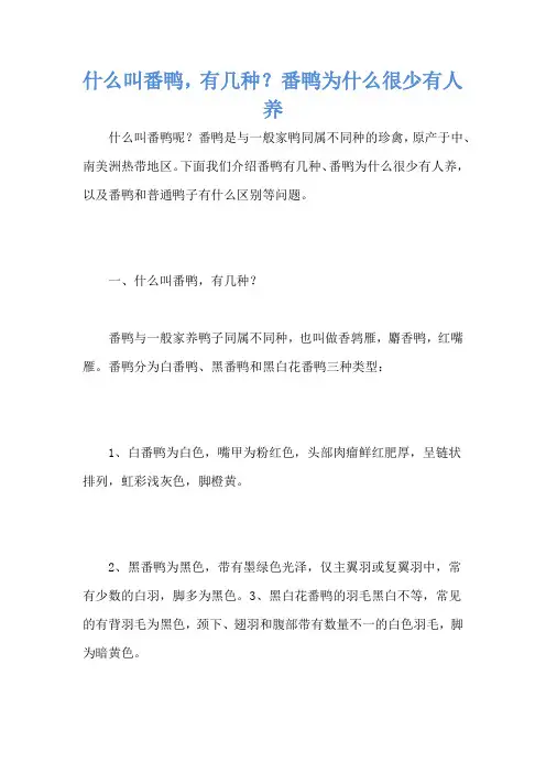 什么叫番鸭,有几种？番鸭为什么很少有人养