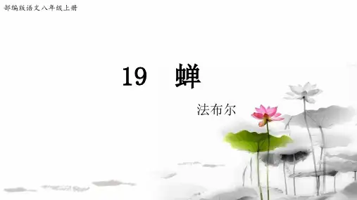 部编版语文八年级上册19《蝉》第1课时(课件)