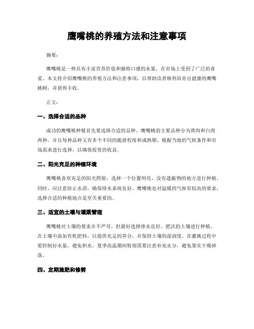 鹰嘴桃的养殖方法和注意事项