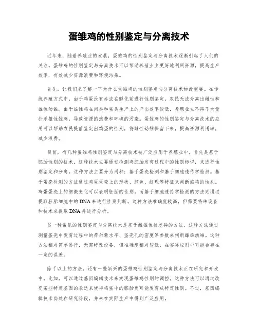 蛋雏鸡的性别鉴定与分离技术
