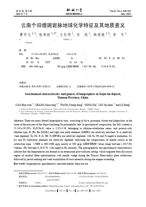 云南个旧煌斑岩脉地球化学特征及其地质意义