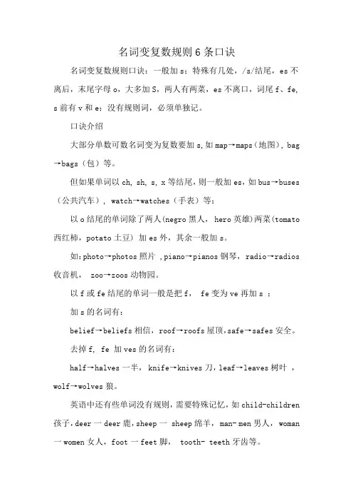 名词变复数规则6条口诀