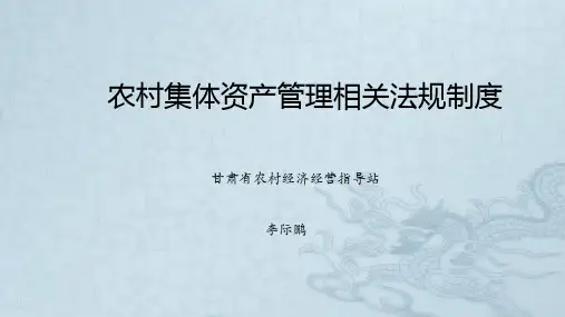 李际鹏-村集体经济组织资产管理